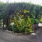 Maison De La *