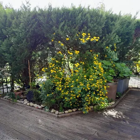 Maison De La *